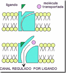 clip_image020