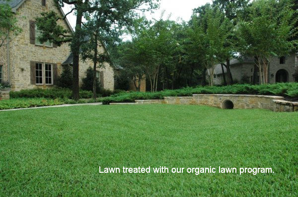 large green lawn treated with organic lawn program