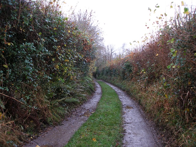 22nd_november_08