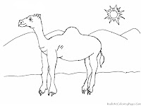 Camel On The Desert Coloring Pages