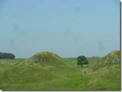DSC07871