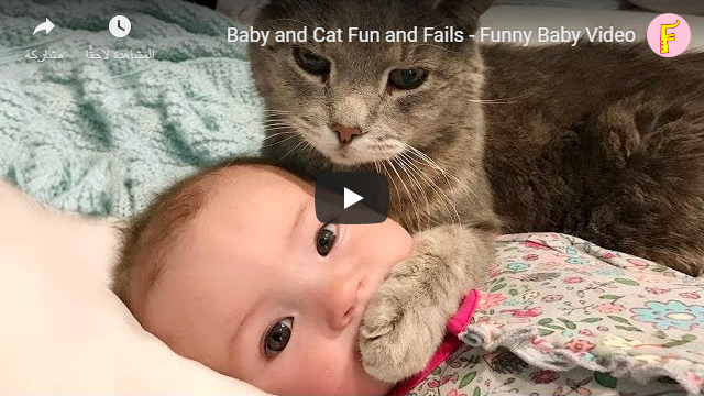  Baby and Cat Fun and Fails - Funny Baby Video