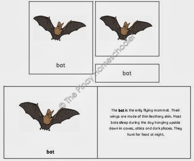 The Bat Preview