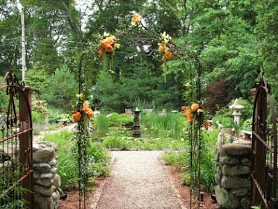 Create an archway with forsythia branches
