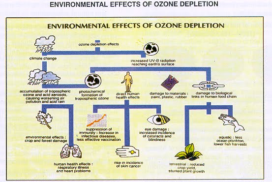 Depletion Of Ozone. of ozone depletion.