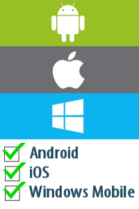 Compatible with Android, iOS and Windows Mobile (Business Process Improvement Tools)