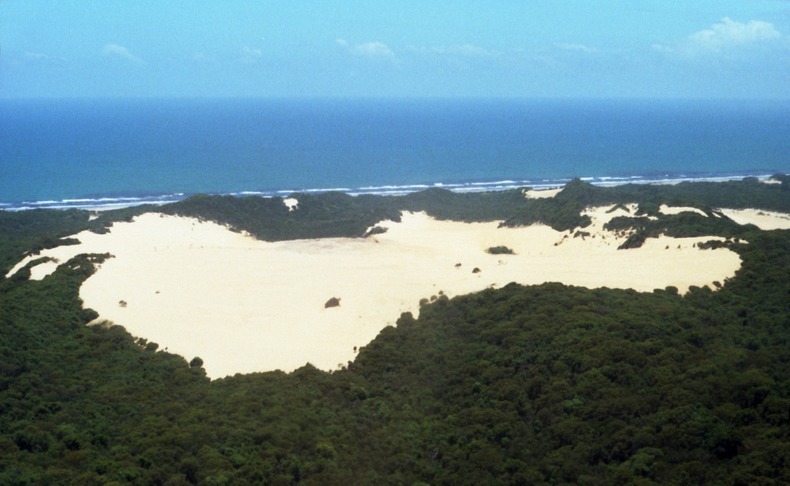 fraser-island-7 fraser-island-7