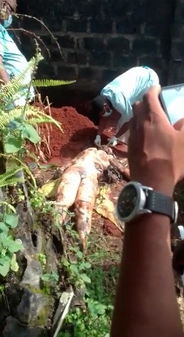 SHOCKING!!! How Gateman Killed, Buried Woman In Delta State. Nollywood Producer Arrested (Graphic Photos)