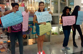 Repudio a +Kota: manifestantes se plantan en tienda de Plaza Las Américas, exigen se aplique Ley de Protección Animal