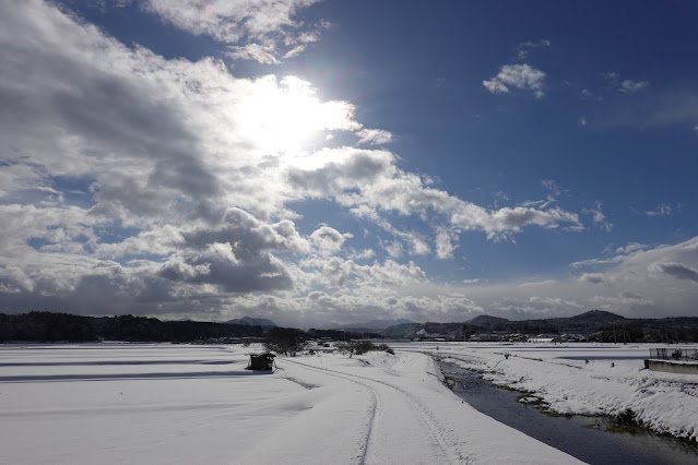 鳥取県西伯郡伯耆町押口 野本川