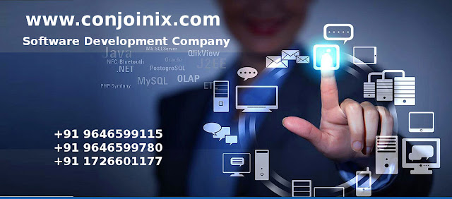 Software Web Development India