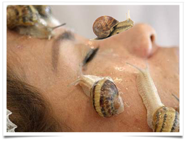 Un Escargot De Beaute