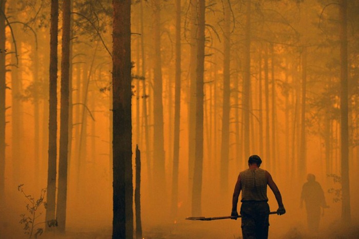 russia-forest-fire (27)