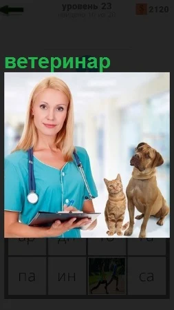 женщина ветеринар со стетоскопом за работой, осмотр животных