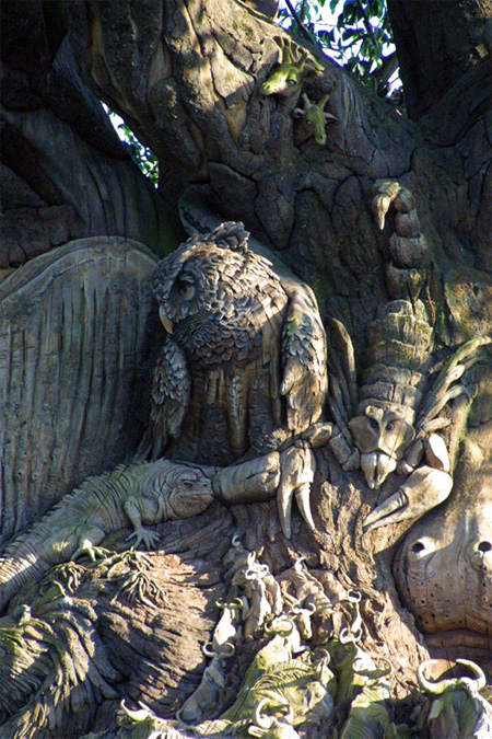The Tree of Life at Disneys Animal Kingdom 7