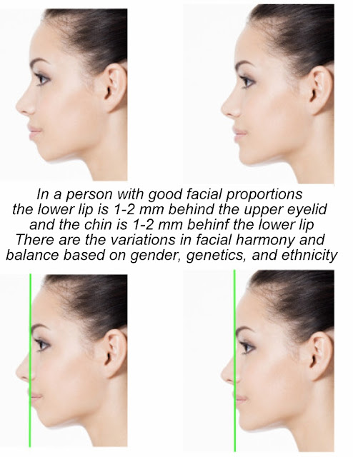 Facial proportions