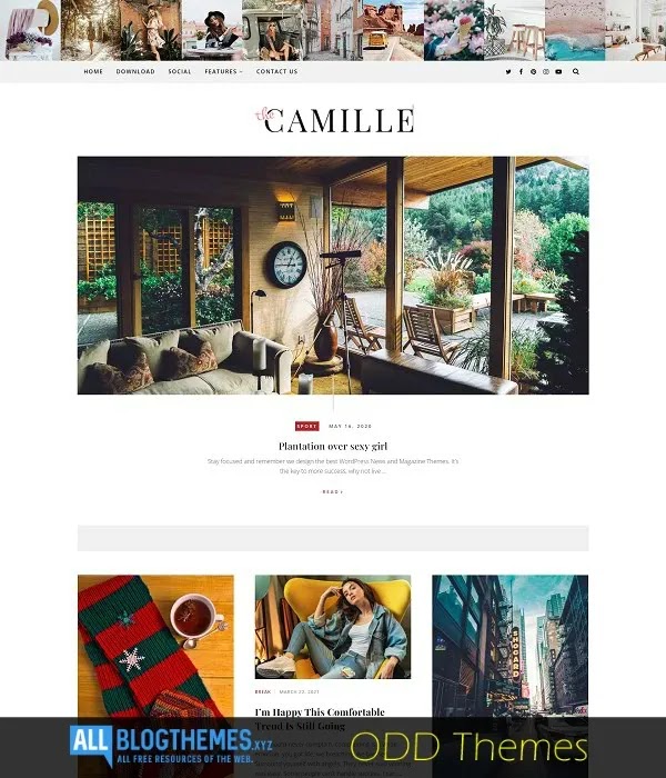 Camille Personal Blogger Theme Free Download