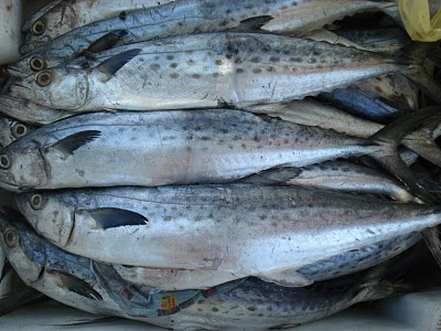 Laboratório de Inspecção de Pescado de Maputo recebe acreditação internacional