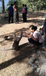 PAKET TOUR LOMBOK 3 GILI DAN AIR TERJUN 4D3N