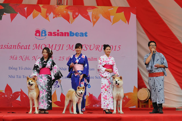 akita inu