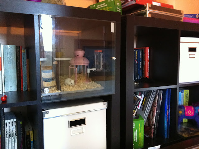 Expedit Lekman Hamster House