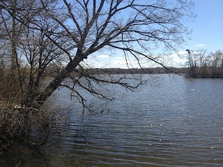 Brickyard Pond, Barrington RI