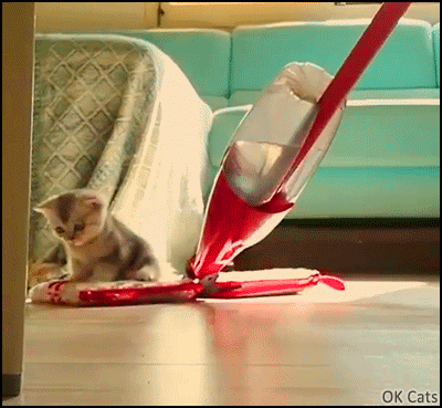 Art Cat GIF with caption • 39 black cats with colorful flashing eyes inside amazing Christmas tree [ok-cats.com]
