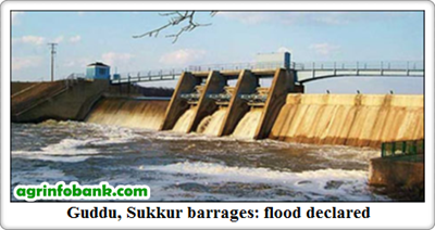 Guddu, Sukkur barrages: flood declared Guddu, Sukkur barrages: flood declared
