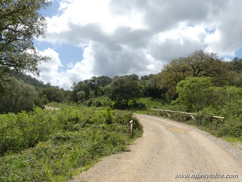 Carril Cicloturista Camino de Ojén