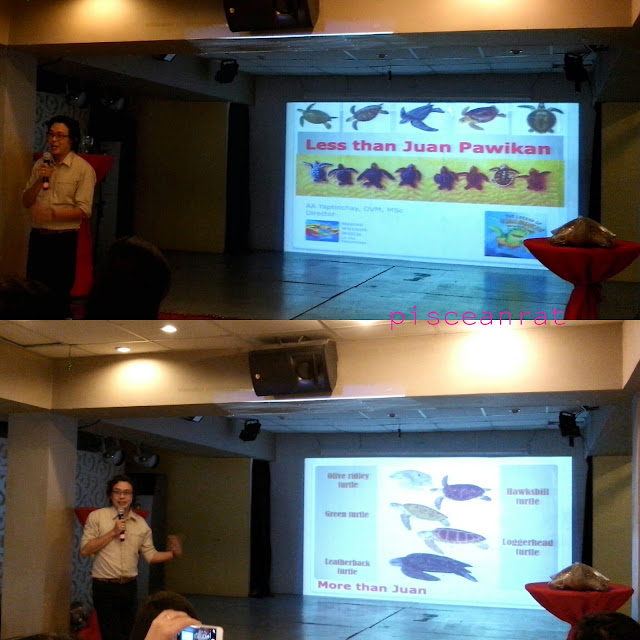 Dr. AA Yaptinchay, D.V.M., MSc., Founder and Director of Marine Wildlife Watch of the Philippines.