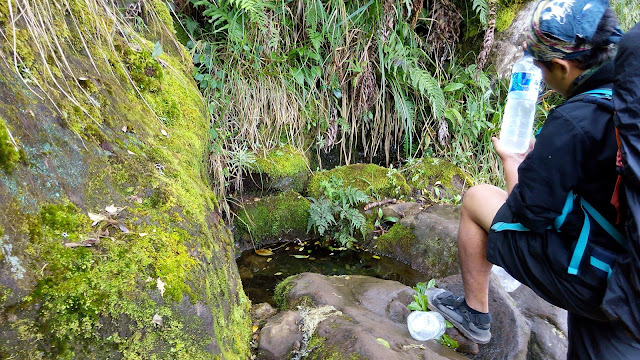 Sendang Panguripan Gunung Lawu Via Cemoro Kandang