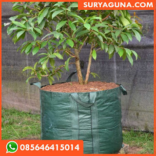 planter bag dari suryaguna 085646415014