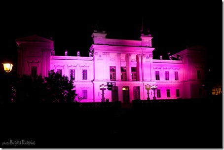 event_20121020_rosa3