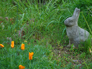 Bunny Yard Sculpture with Orange Poppies