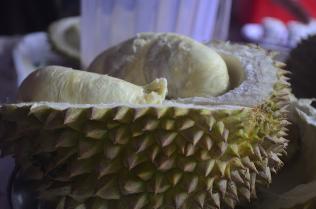 durian-batu-kurau