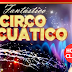 Llega por primera vez a Pergamino el “Fantástico Circo Acuático”: un show para toda la familia