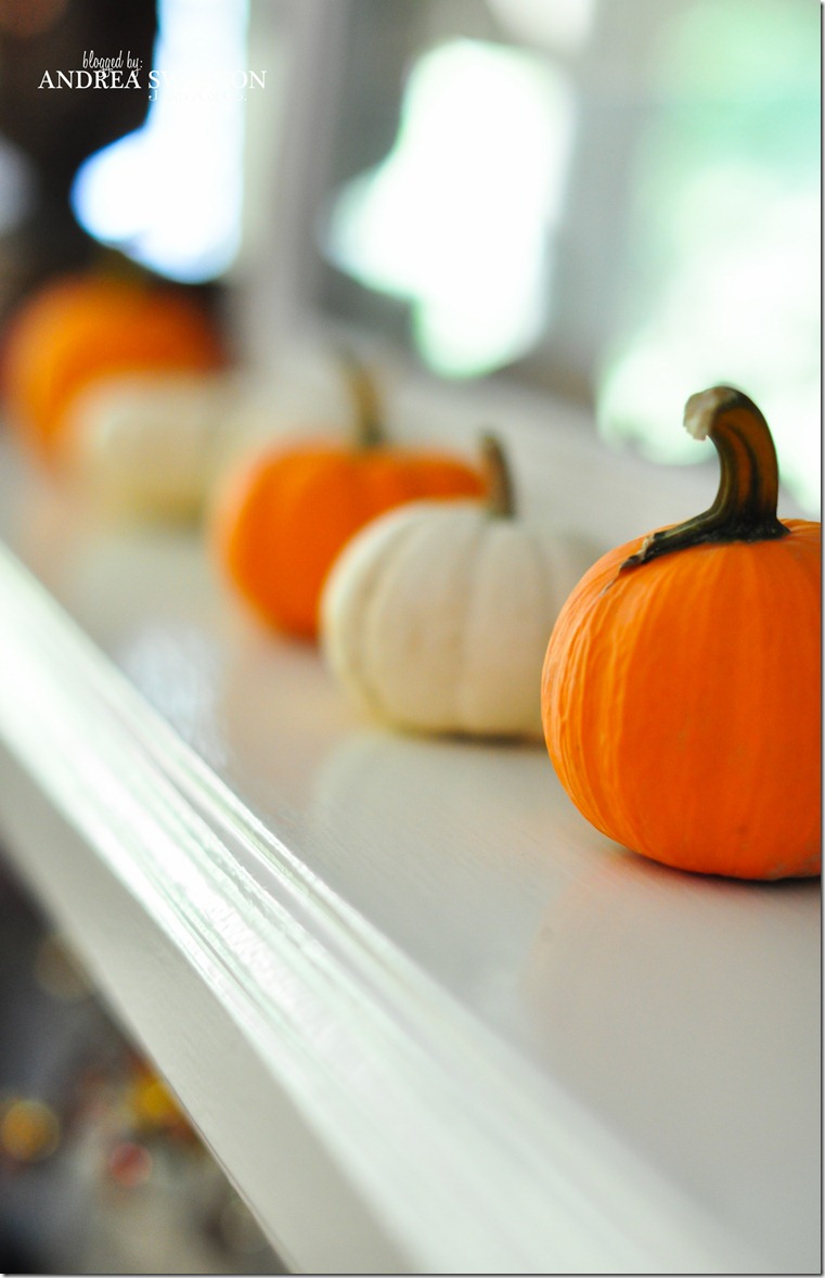 fall pics-0007