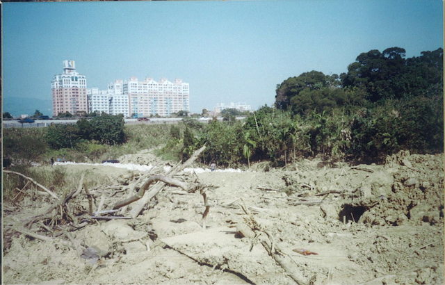 圖4 新北市北城區頂埔里新北DF220土石流潛勢溪流發生災害(盧廷治提供)