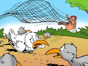 Sparrows, Mice, And A Hunter ~ Short Stories