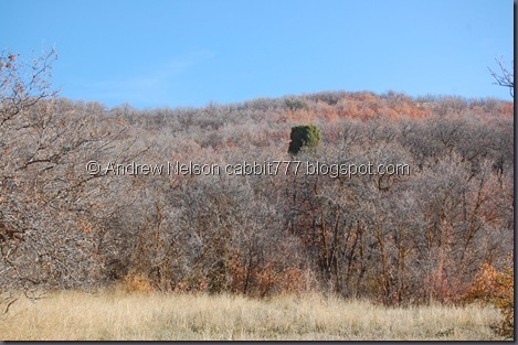 DSC_0273 DSC_0273
