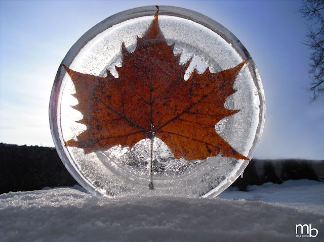 Land art of frost, ice and snow Miha Brinovec