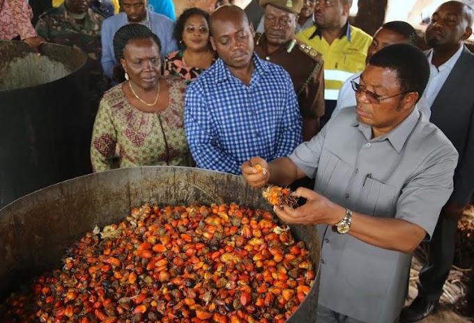 WAZIRI MKUU: GEREZA LA KWITANGA KUWA KITUO KIKUU CHA MICHIKICHI