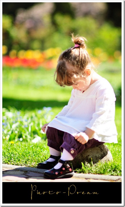 _DVM7495 copy