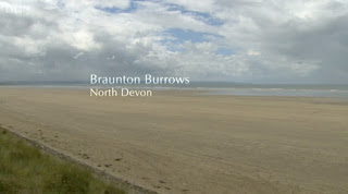 Braunton Burrows