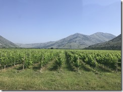 IMG_8311