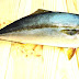Yellowtail (fish) - Yellowtail Fish Sushi