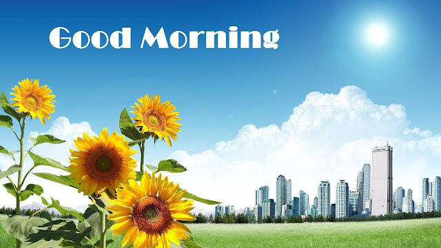 amazing good morning images hd