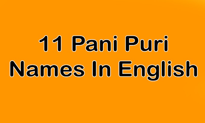 11 Different Pani Puri Name in English (India)