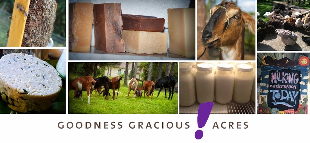 GOODNESS!GRACIOUS ACRES