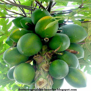 health_benefits_of_eating_papaya_fruits-vegetables-benefits.blogspot.com(9)